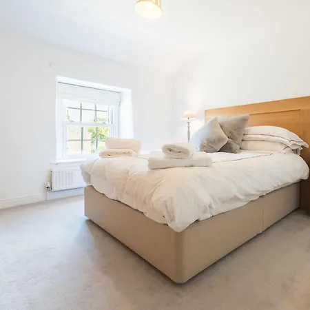 Two Trees, By Birch *